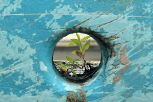 resilienza-assessment