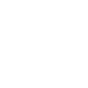 PetrolValves